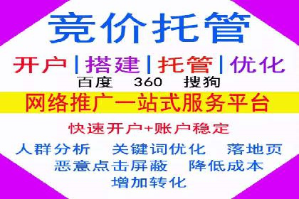 推广竞价策略优化：借鉴成功案例实现高效转化